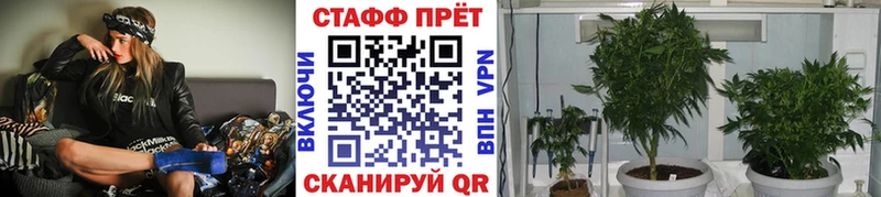 Как найти наркотики Бутурлиновка Cocaine  Амфетамин  ГАШИШ  Мефедрон 