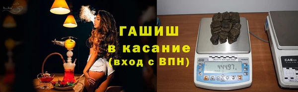 стаф Горняк